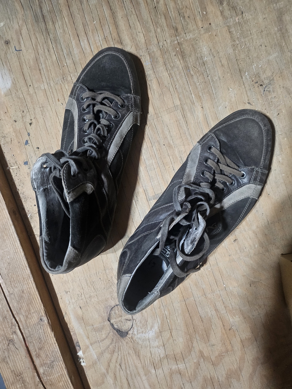Nero Giardini High-Top Sneakers in Gray, sz. 42